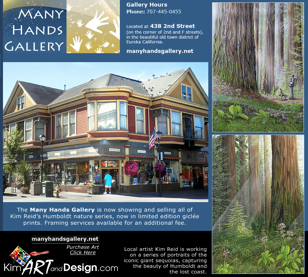 Many-Hands-Gallery-Artist-of-Month