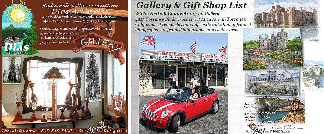 TBA Latest Shows and Past Shows - KimARTandDesign.com