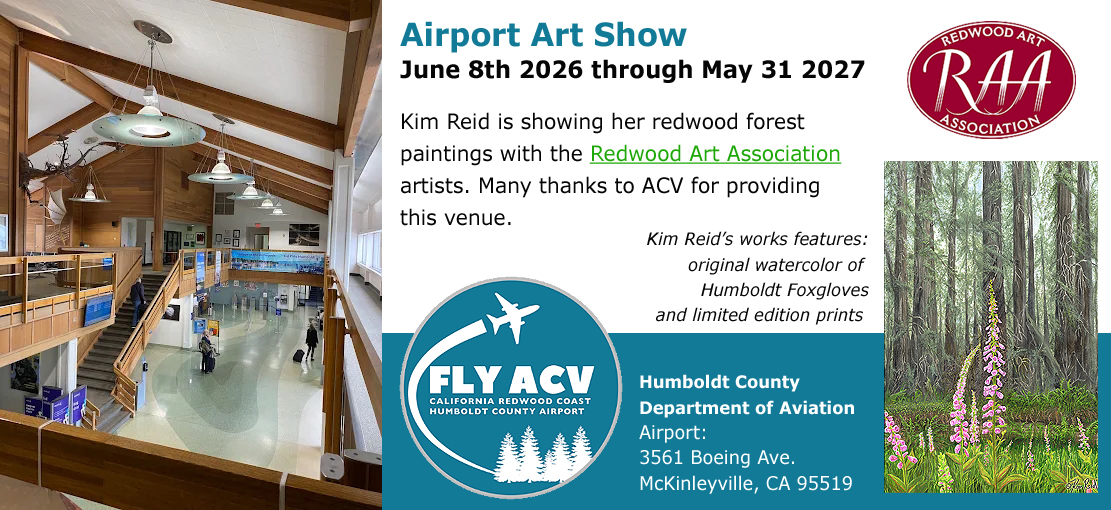 Airport Show RAA Redwood Art Association