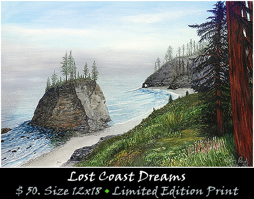 Lost Coast Dreams